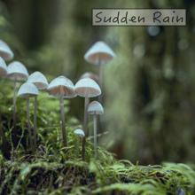 Rain Sounds: Sudden Rain