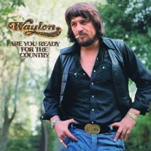 Waylon Jennings: MacArthur Park (Revisited) (Revisited)