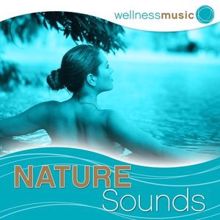 Harmony & Balance: Wellness Music: Nature Sounds