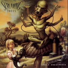 Screaming Trees: Story Of Her Fate (Album Version)