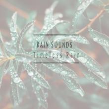 Rain Sounds: Timeless Rain