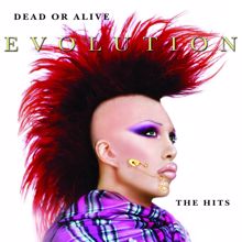 Dead Or Alive: Evolution: The Hits