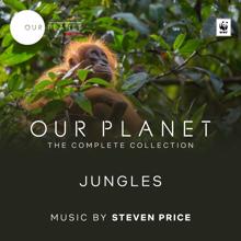 Steven Price: Jungles (Episode 3 / Soundtrack From The Netflix Original Series "Our Planet")