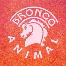 Bronco: Animal
