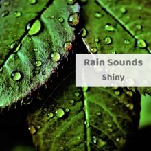 Rain Sounds: Shiny