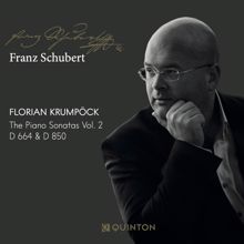 Florian Krumpöck: Franz Schubert: The Piano Sonatas Vol. 2