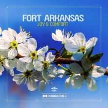 Fort Arkansas: Joy & Comfort
