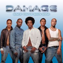 Damage: Since You've Been Gone (Contains Hidden Track 'Before We Leave')