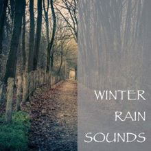 Rain Sounds: Winter Rain Sounds