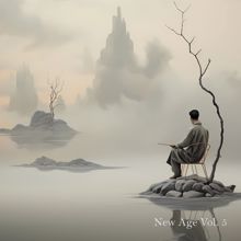 Various Artists: New Age Vol. 5