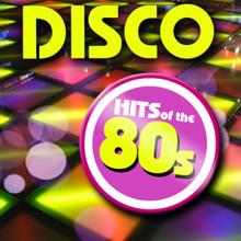 Count Dee's Silver Disco Explosion: Disco Hits of the 80s