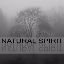 Rain Sounds: Natural Spirit