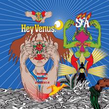 Super Furry Animals: Hey Venus!