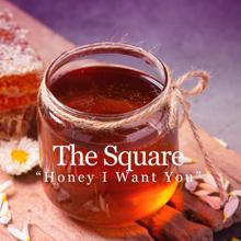THE SQUARE: The Confusion of My Heart