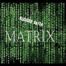 Rüdiger Bayer: Matrix
