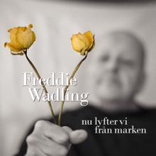 Freddie Wadling: Nu lyfter vi från marken