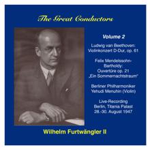 Wilhelm Furtwängler: The Great Conductors: Wilhelm Furtwängler, Vol. 2