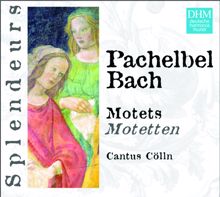 Cantus Cölln: DHM Splendeurs: Pachelbel/Bach: Motets