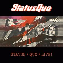 Status Quo: Don't Waste My Time (Live At Glasgow Apollo, Glasgow / 1976) (Don't Waste My Time)