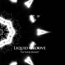 Liquid Groove: I'm Your Honey