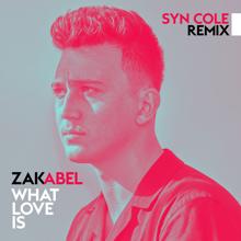 Zak Abel: What Love Is (Syn Cole Remix)