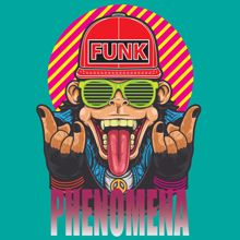 Various Artists: Funk Phenomena