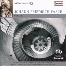 Various Artists: Fasch, J.F.: Concerto A 2 / Concerto for Trumpet and 2 Oboes / Concerto for Flute and Oboe / Concerto for 2 Horns