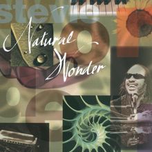 Stevie Wonder: Natural Wonder