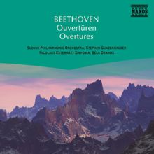 Various Artists: Beethoven, L. van: Overtures