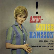 Ann-Louise Hanson: Är du ensam i kväll