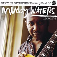 Muddy Waters: Gypsy Woman