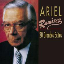 Ariel Ramírez, Jaime Torres: Adiós A Ocumaré (Instrumental)