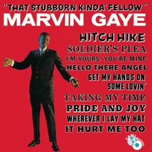 Marvin Gaye: That Stubborn Kinda' Fellow