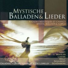 Various Artists: Vocal Music (Ballads and Songs) - Schubert, F. / Wolf, H. / Loewe, C. / Loeffler, C.M. / Mahler, G. / Mendelssohn, Felix / Reutter, H. / Liszt, F.