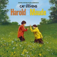 Cat Stevens: Trouble (Remastered 2020)