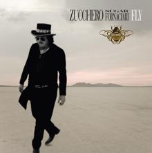 Zucchero: Fly