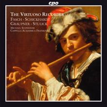 Michael Schneider: Virtuoso Recorder: Concertos of the German Baroque