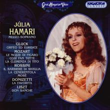 Julia Hamari: Orfeo ed Euridice: Act I: Aria: Chiamo il mio ben cosi - Recitative and Aria: Euridice, ombra cara … Piango il mio ben cosi