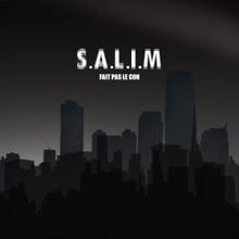 Salim feat. oxmose: Une amitié en or