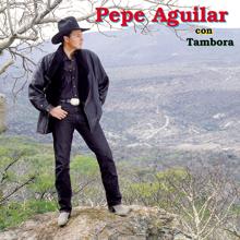 Pepe Aguilar: Yo Pagó Las Otras