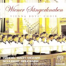 Vienna Boys Choir: Choral Music (Sacred) - Handel, G.F. / Mozart, W.A. / Schubert, F. / Haydn, F.J. / Herbeck, J.R. / Bach, J.S. / Bruckner, A.