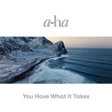 a-ha: You Have What It Takes
