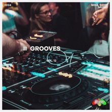 Various Artists: Grooves, Vol. 12