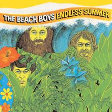 The Beach Boys: Endless Summer