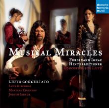 Lutz Kirchhof: Musical Miracles