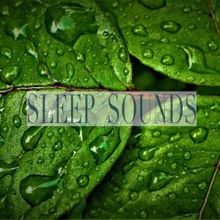 Rain Sounds: Sleep Sounds