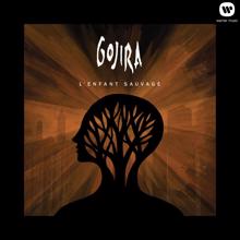 Gojira: Pain Is a Master