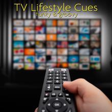 Ivan Bertolla: TV Lifestyle Cues