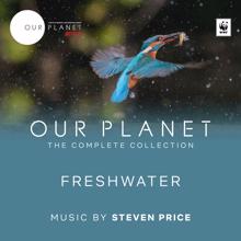 Steven Price: Freshwater (Episode 7 / Soundtrack From The Netflix Original Series "Our Planet")