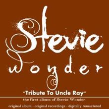 Stevie Wonder: Tribute to Uncle Ray